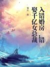 入错婚房,错娶千亿女总裁